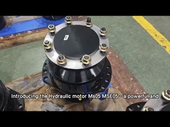Motor hidráulico